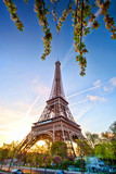 Fototapeta Paryż - Eiffel Tower against sunrise in Paris, France