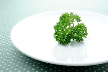 Wall Mural - parsley