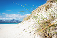 Sunny Beach With Sand Dunes, Tall Grass And Blue Sky