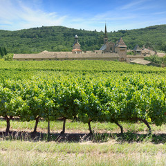 Wall Mural - France - Chartreuse de Valbonne