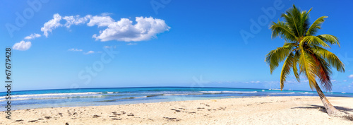 Obraz na płótnie canvas czteroczęściowy "tetraptyk" Panoramiczny widok z białej piaszczystej plaży z palmą