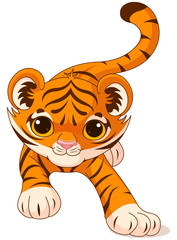 Sticker - Crouching baby tiger