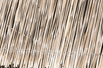  Japanese bamboo texture good for background