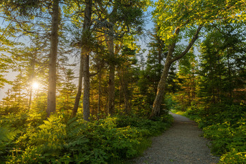 Warren lake path