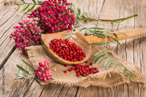 Nowoczesny obraz na płótnie red peppercorns on a twig and dry in a wooden spoon