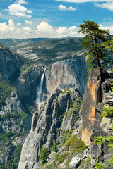 Wall Mural - Yosemite national park