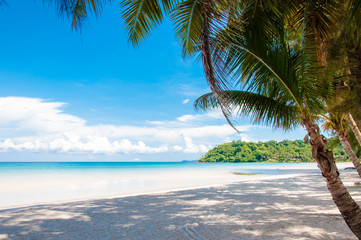 Beautiful tropical beach with white sand and blue waters