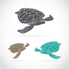 Wall Mural - Vector image of an turtle