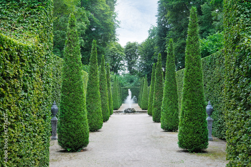 beautiful-alley-in-the-park