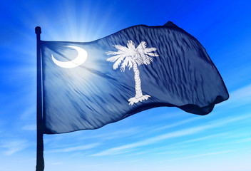 Wall Mural - South Carolina (USA) flag waving on the wind