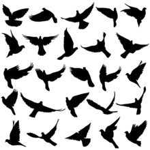 Concept Of Love Or Peace. Set Of Silhouettes Of Doves. Vector Il