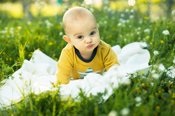 Wall Mural - little child lying on a diaper the grass