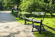 Bench In Green Park