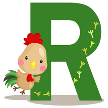 R For Rooster