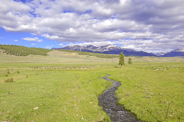 Wall Mural - Alpine Scene with Stream in the Rocky Mountains