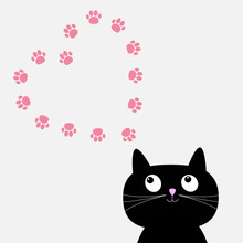 Big Black Cat And Paw Print Heart Frame Template. Flat Design.