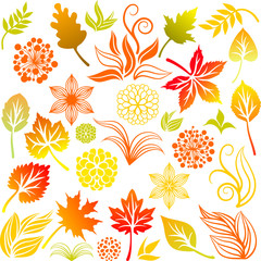 Wall Mural - Fall set