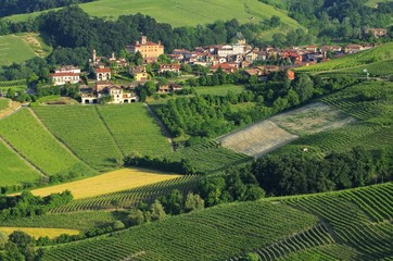 Wall Mural - Barolo 05