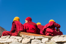 Group Of Young Lama In Red Clothes