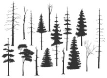 Free Handdrawing Set Of The Tree