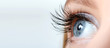 Leinwandbild Motiv Female eye with long eyelashes close-up