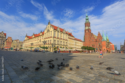 Board z aluminiowym obramowaniem Wrocław - rynek - gołębie - ratusz miejski