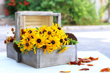 Beautiful Rudbeckia Flowers In Wooden Basket On Table, Outdoors