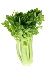 Poster - Bunch of Celery