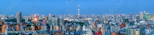 Fotoboard na płycie Panorama tokyo