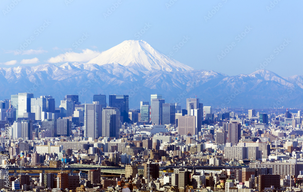 Garden Poster 東京都市風景 富士山と東京都心丸の内方面の高層ビル群を一望 Nikkel Art