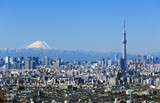 Fototapeta  - ［東京都市風景］快晴青空・富士山と東京スカイツリー・東京都心の高層ビル群を一望