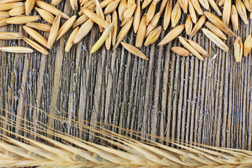 Wall Mural - Rye grains and ears on table, close-up