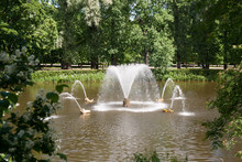 Small Pond With Fountains Designed By Peter The Great