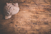 Seashell On Old Wooden Surface