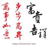 various kind Chinese Calligraphy of "happy new year" pattern,for