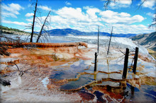 Mammoth Hot Springs In Yellowstone National Park