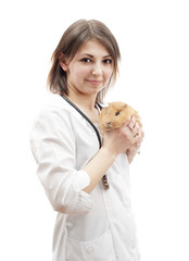 Wall Mural - veterinarian and guinea pig