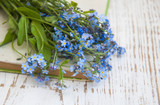 Fototapeta Lawenda - Forget-me-nots flowers and old book