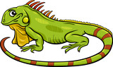 Fototapeta Dinusie - iguana animal cartoon illustration