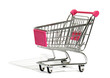 © photology1971 - Empty shopping cart on white