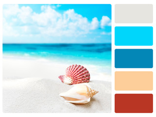 Colour palette swatch.