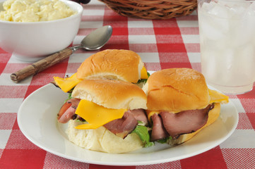 Poster - Roast beef sliders on a picnic table