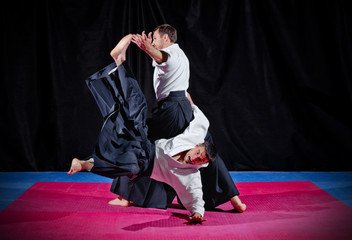 Fight between two aikido fighters