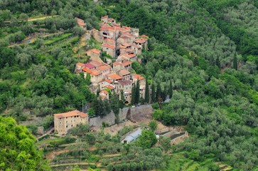 Canvas Print - Vignolo 04