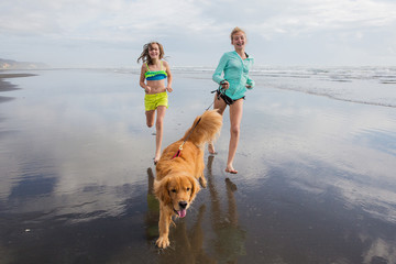 Canvas Print - two kids and a dog running at the beach