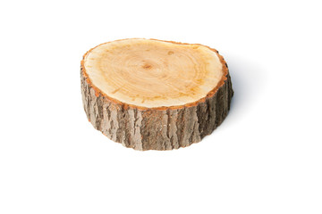 Wall Mural - Tree stump on white background