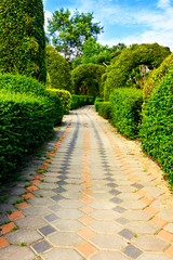 Wall Mural - Pathway in garden design.