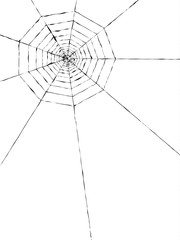 Wall Mural - spider web