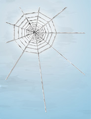 Wall Mural - spider web with shadow