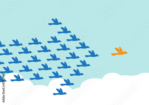 Fotografía  Leadership